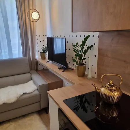 Apartma Larisa アパート *