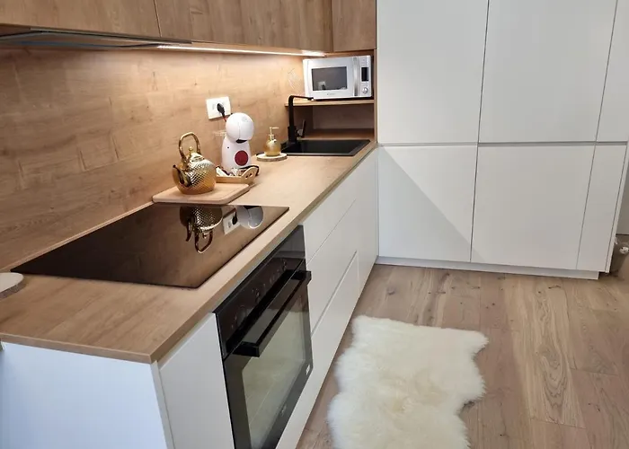 Apartma Larisa 布莱德